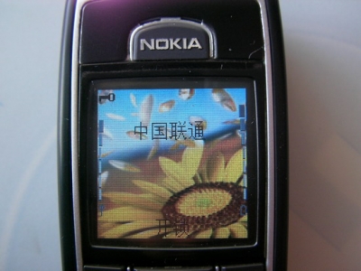 SANY0006.jpg