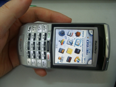 STP60900.JPG