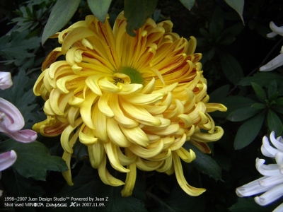 PICT0667.jpg