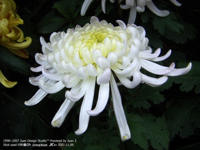 PICT0668.jpg