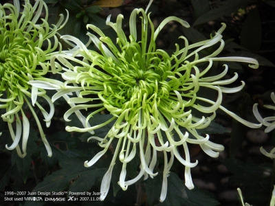 PICT0713.jpg