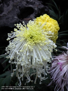PICT0719.jpg