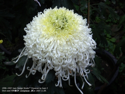 PICT0720.jpg