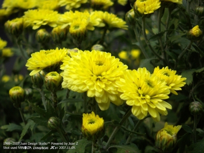 PICT0724.jpg