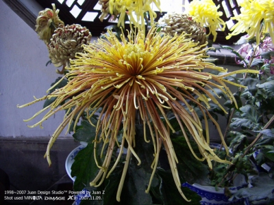 PICT0708.jpg