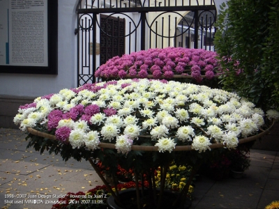PICT0740.jpg