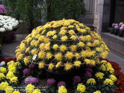 PICT0741.jpg