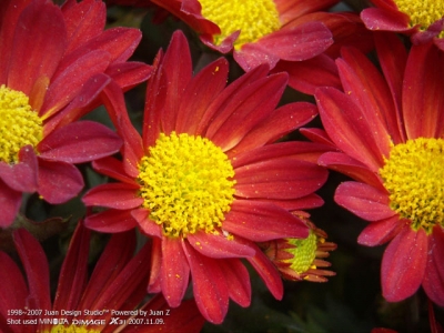 PICT0749.jpg