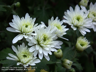 PICT0725.jpg
