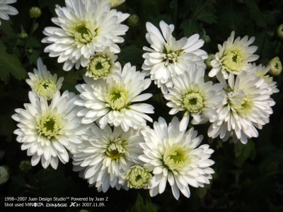PICT0735.jpg