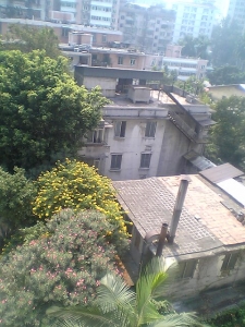 picture00010.jpg