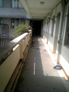 picture00012.jpg