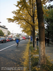 IMG_2849.jpg
