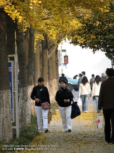 IMG_2843.jpg