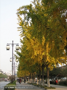 IMG_2865.jpg