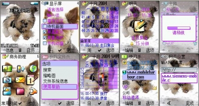 ѩ.jpg