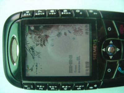 sx1_11.jpg