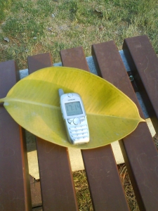 DSC03159.JPG