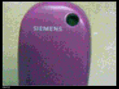 nEO_IMG_20090114(021).jpg