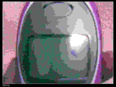 nEO_IMG_20090114(023).jpg