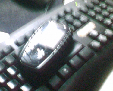 img005.jpg