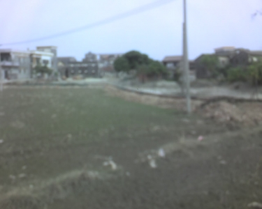 img010.jpg