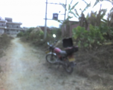 img013.jpg
