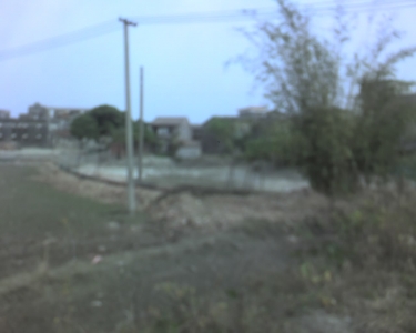 img014.jpg