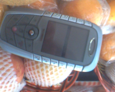 IMG0103A.jpg