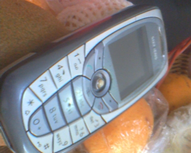 IMG0107A.jpg