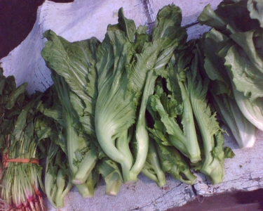 img031.jpg
