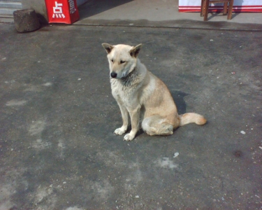 img087.jpg