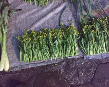 img040.jpg
