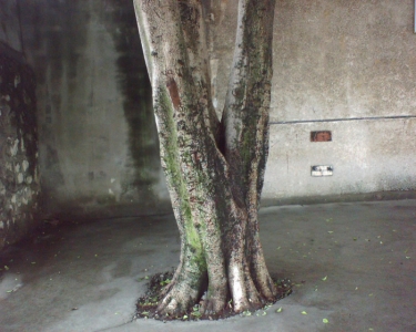 img091.jpg