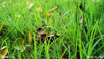CA340227.JPG