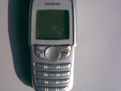 20090115.jpg