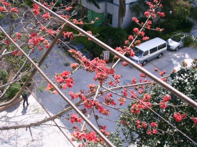 PICT0002 [640x480].JPG
