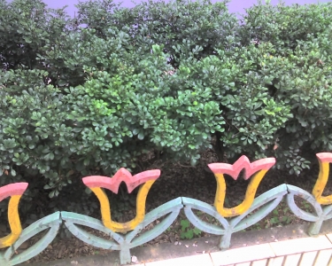 img005.jpg