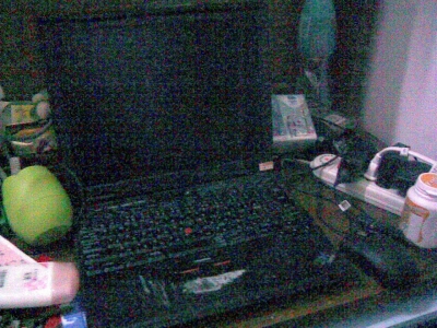 20090419(005).jpg