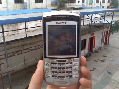 img009.jpg