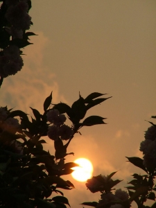 DSCF0745.JPG