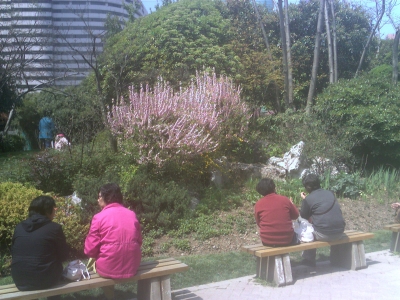 Photo_0005.jpg