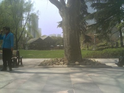 Photo_0007.jpg