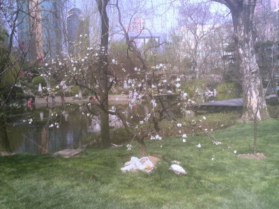 Photo_0002.jpg