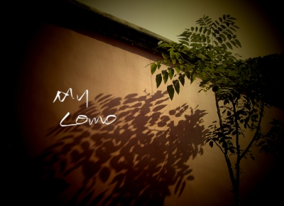 RIMG05821.jpg