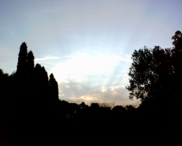 img2.jpg