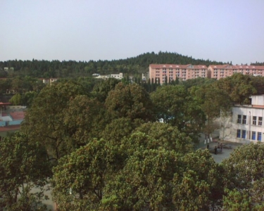 img3.jpg