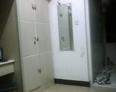 img137.jpg