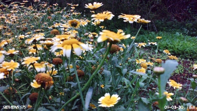 S7c075.jpg