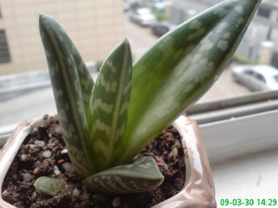 DSC00074.JPG